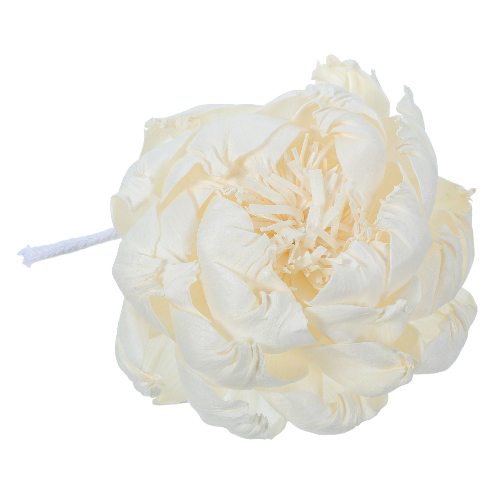 Diffuser Aroma Bunga Peony 12C - Home Fragrance And Diffuser ulasan dan harga