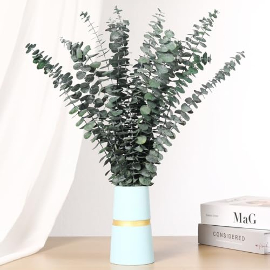 Ranting Eucalyptus Kering untu - Home Fragrance Eucalyptus ulasan dan harga