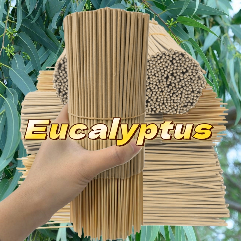 Aroma eucalyptus berkualitas t - Home Fragrance Eucalyptus ulasan dan harga