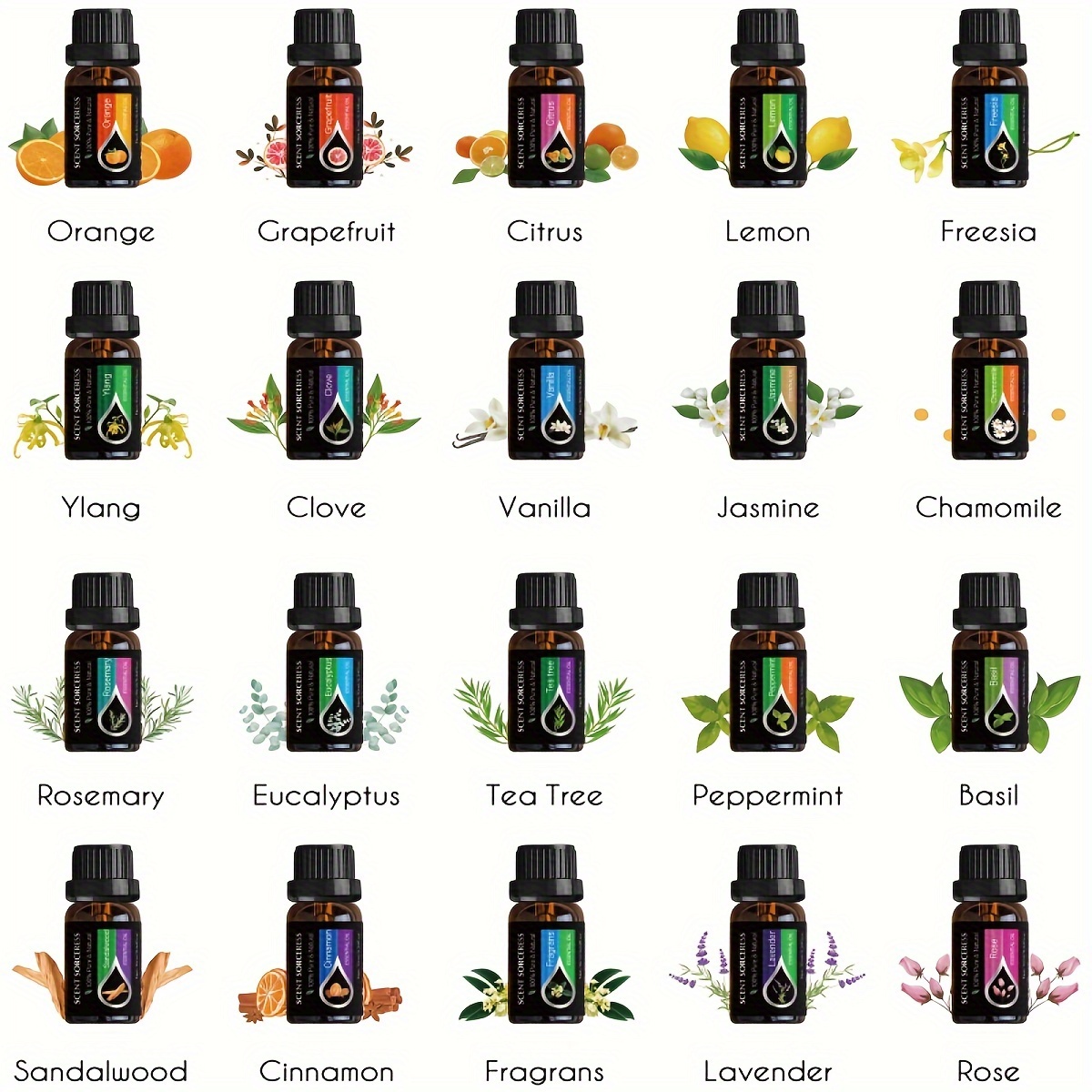 20pcs/set Set Minyak Esensial  - Home Fragrance Eucalyptus ulasan dan harga