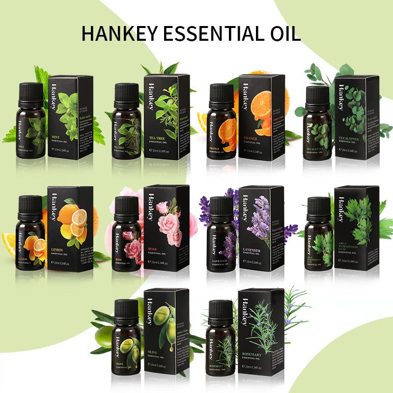 Minyak Esensial Aromaterapi 10 - Home Fragrance Eucalyptus ulasan dan harga