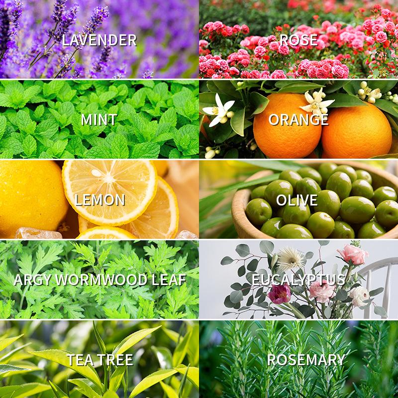Minyak Esensial Aromaterapi 10 - Home Fragrance Eucalyptus ulasan dan harga
